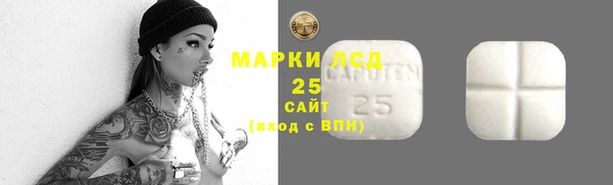 гашик Алексеевка