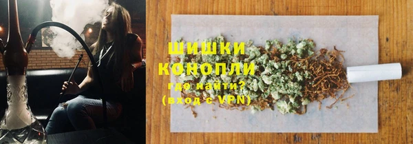 гашик Алексеевка