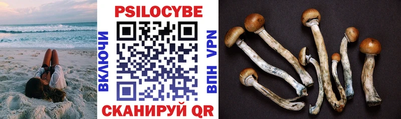 Псилоцибиновые грибы Psilocybe Тавда