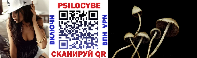 omg зеркало  Тавда  Галлюциногенные грибы мухоморы 